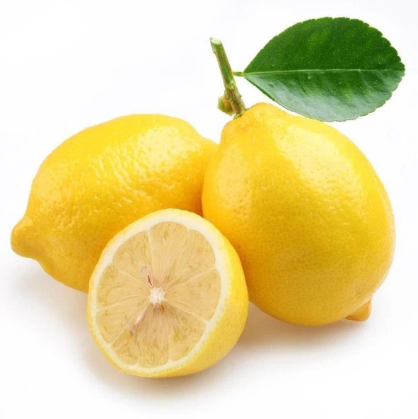 Meyve Verme Yaşında Tüplü Kokulu Tatlı Limon/Şeker Limon Fidanı (Sınırlı Stok) ürün görseli 1
