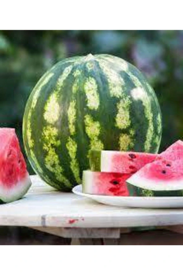 100 Adet Tohum Eko Paket Meşhur Crimson Sweet Karpuzu Tohumu ürün görseli 1