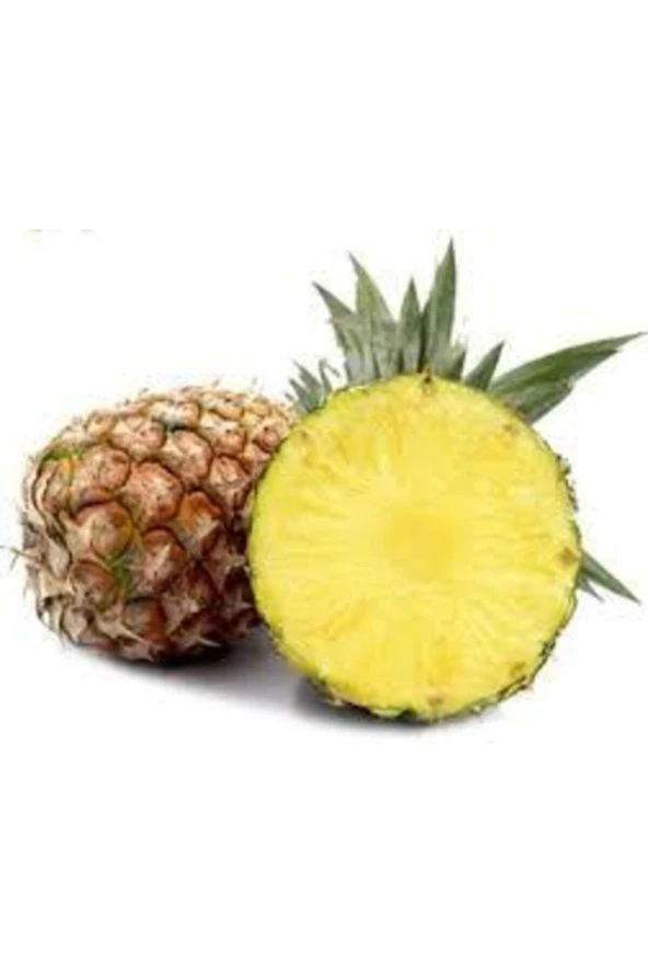 15 Adet Ananas Meyve Tohumu Ananas Tohumu Yerli Ata Tohum Sürpriz Hediye Tohum ürün görseli 1