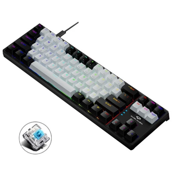 Valkyrie Blue Switch Dark Alien K710 71 Tuş RGB Gaming Klavye - Mekanik Mavi Tuş Type-C  - 2 Kademe Yükseklik SiyahBeyaz ürün görseli 1