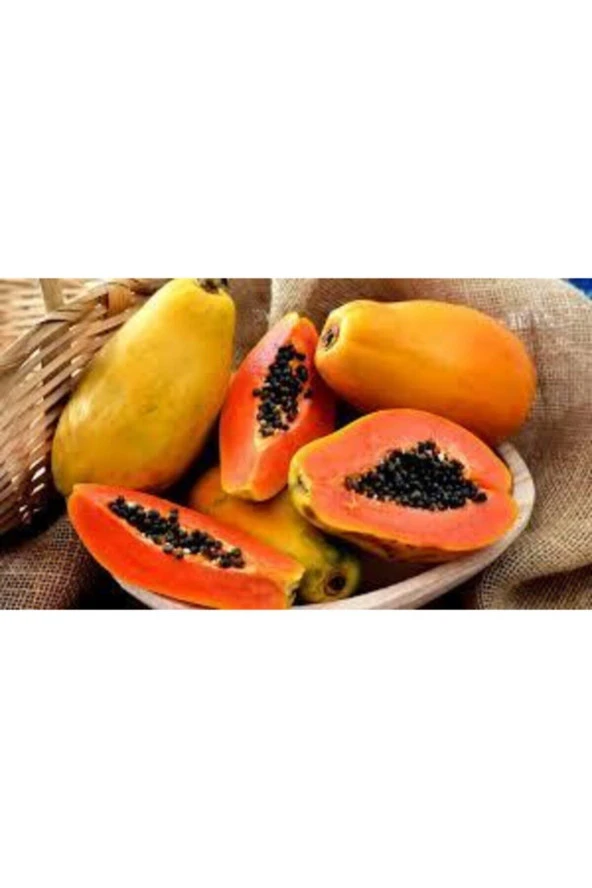 10 Adet Tohum Ithal Nadir Tropikal Bodur Papaya Ağacı Tohumu Papaya Meyvesi Süpriz Hediye ürün görseli 1