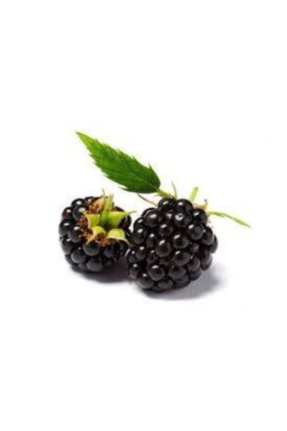 30 Adet Tohum Eko Paket Böğürtlen Tohumu Ahududu Tohumu Ithal Süpriz Hediye Bonsai Ağacı Tohumu ürün görseli 1