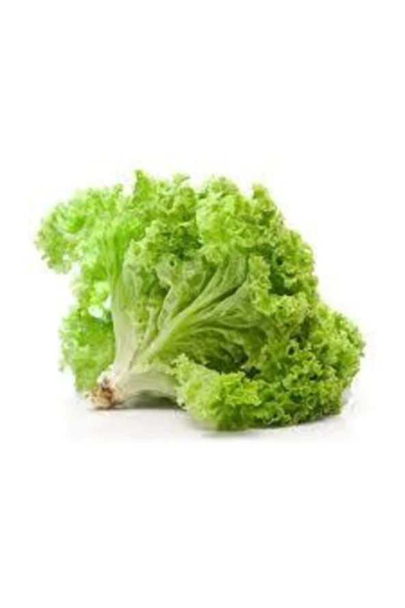 1000 Adet Tohum Eko Paket Kıvırcık  Geniş Yapraklı Maydonoz Tohumu ürün görseli 1