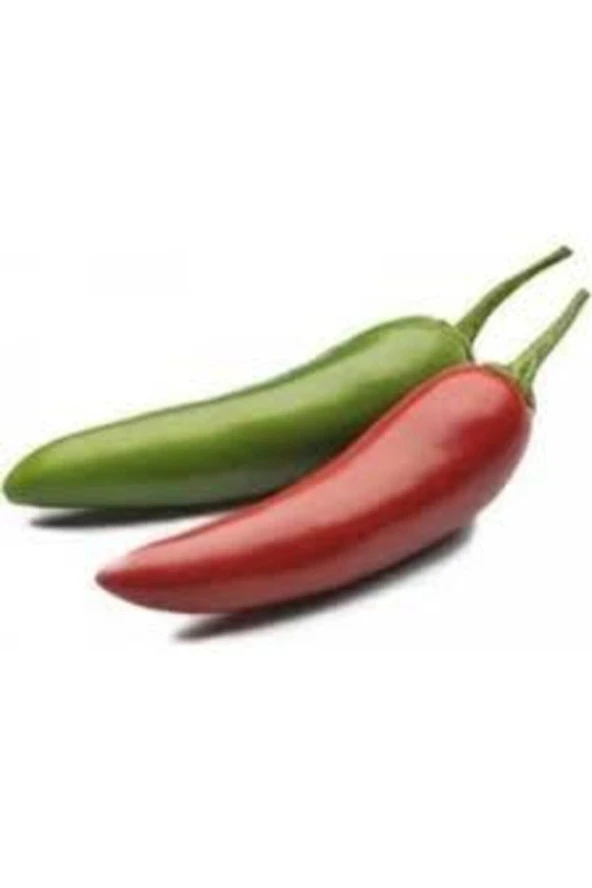 5 Adet Tohum Acı Meksika Biberi Tohumu Jalapeno Piberi ürün görseli 1
