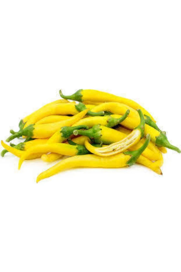 10 Adet Tohum Acı Organik Golden Cayenne Biber Tohumu ürün görseli 1