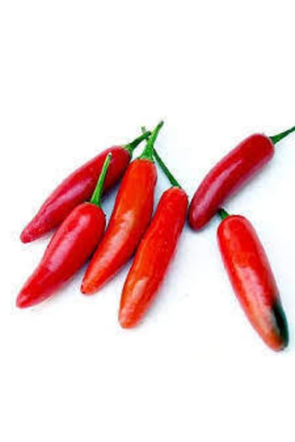 10 Adet Tohum Meksika Biberi Tohumu Acı Meksika Biberi Tohumu Jalapeno Kırmızı Süpriz Hediye Tohumlu ürün görseli 1