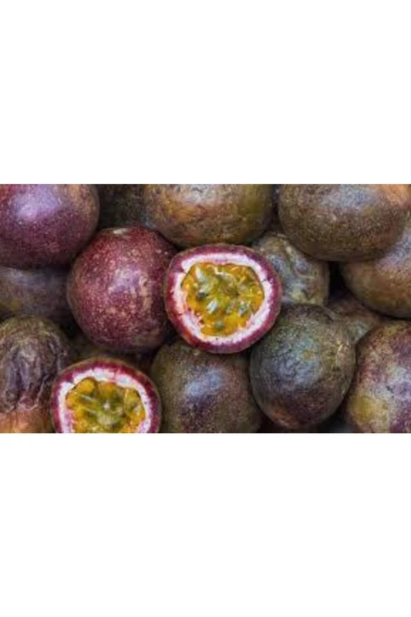 Tohum Ithal Passiflora Meyvesi Tohumu  3 Adet ürün görseli 1