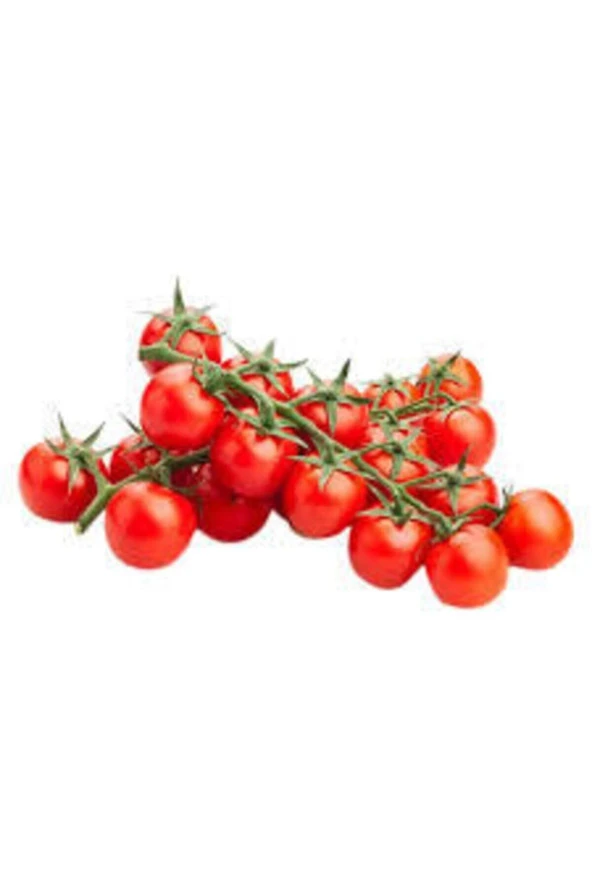 20 Adet Tohum Süper Paket Cherry Domates Tohumu Saksılık Süpriz Hediye Tohumludur ürün görseli 1