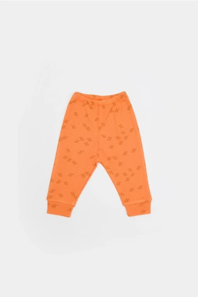 Bebek 3’lü Takım (Pantolon, Uzun Kol T-shirt, Şapka), Bebek ve Yenidoğan Serisi - CSYM25505 - Resim 6