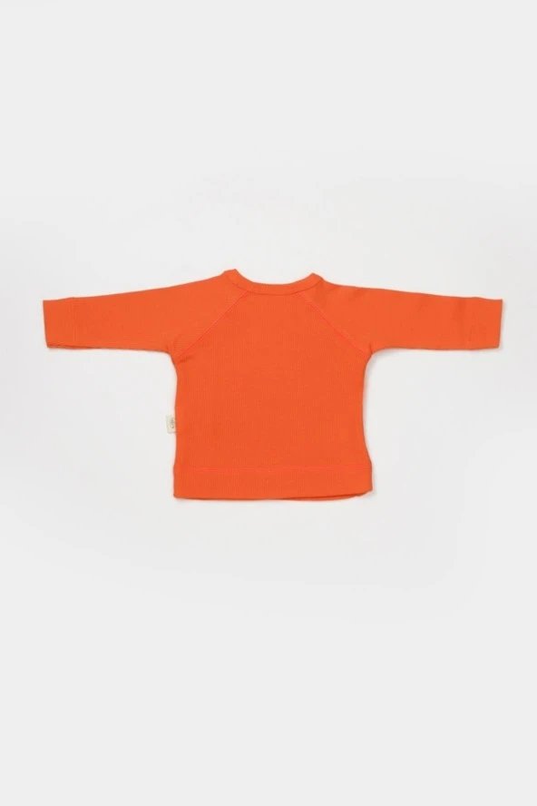Organik Modal 4 lü Set csym26506 - Resim 3