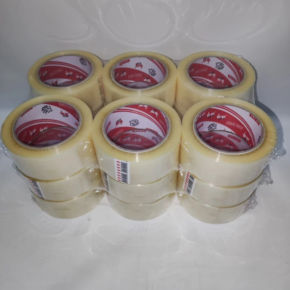 Vege Koli Bandı Aslan Şeffaf 18 Adet 45 × 100 Mt. ürün görseli 1