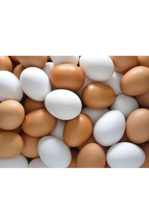 Sahte Yumurta 20 Adet Plastik Tavuk Yumurta Tavuk Folluk Yapay Yumurta ürün görseli 1