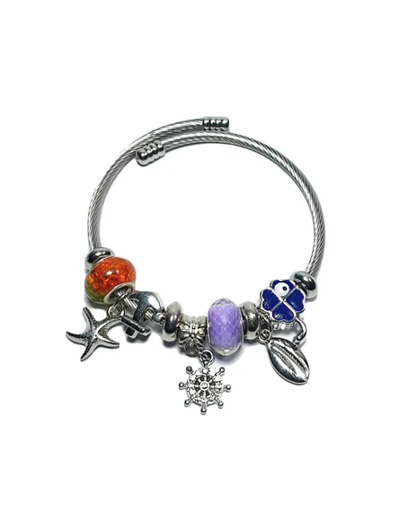 JTAW24ÇEB1441 JANTİ ÇELİK BİLEKLİK - PANDOORANIN CHARMLARI SILVER RENK KARARMAZ ürün görseli 1