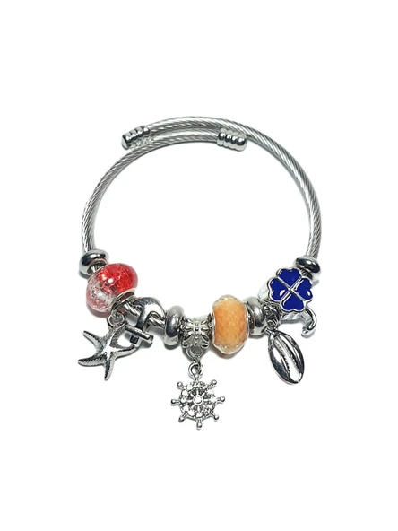 JTAW24ÇEB1444 JANTİ ÇELİK BİLEKLİK - PANDOORANIN CHARMLARI SILVER RENK KARARMAZ ürün görseli 1