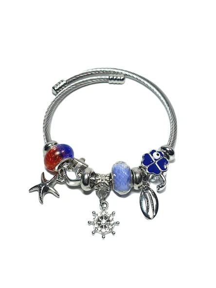 JTAW24ÇEB1449 JANTİ ÇELİK BİLEKLİK - PANDOORANIN CHARMLARI SILVER RENK KARARMAZ ürün görseli 1