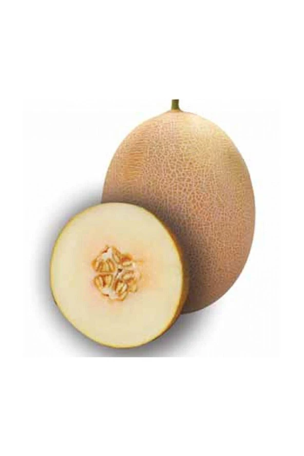 Tohumculuk Süper Paket 500 Adet Tohum Mis Kokulu Bal Ananas Kavun Tohumu ürün görseli 1