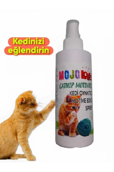KorPet Doğal Catnip Kedi Oyun Spreyi Kedi Nane Suyu Kedi oynatıcı Sprey 125 ml ürün görseli 1