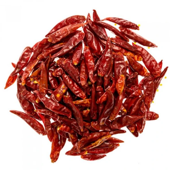 ÇOK ACI HİNT BİBERİ 10 GR ORT 15 ADET ürün görseli 1