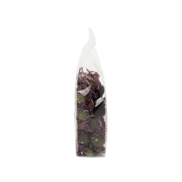 Ekinezya Çiçeği Tomurcuk - Resim 2
