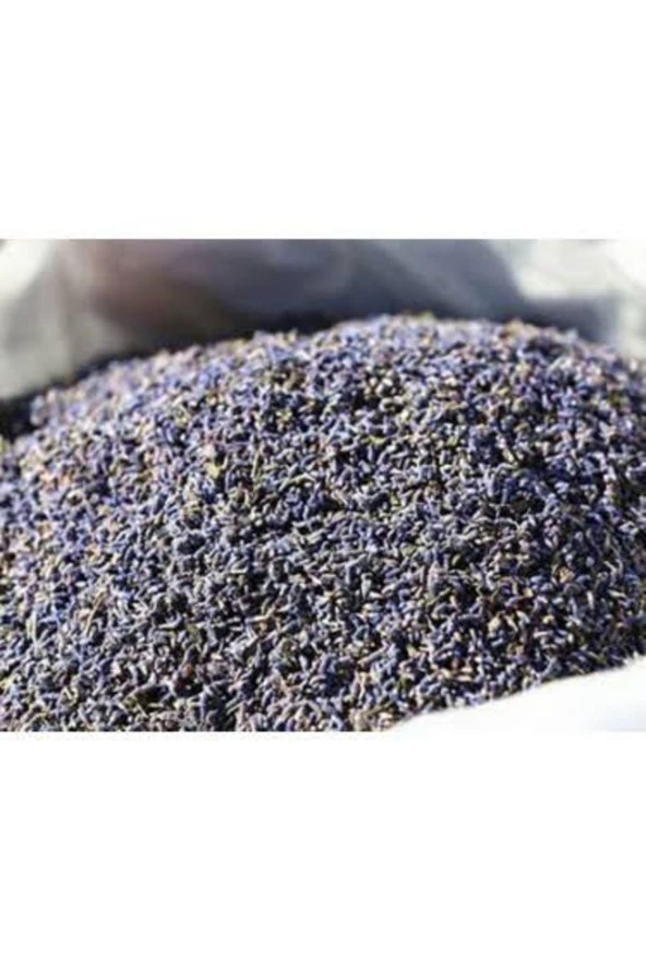 Yeni Mahsül Lavanta Kurusu 1000 G ürün görseli 1