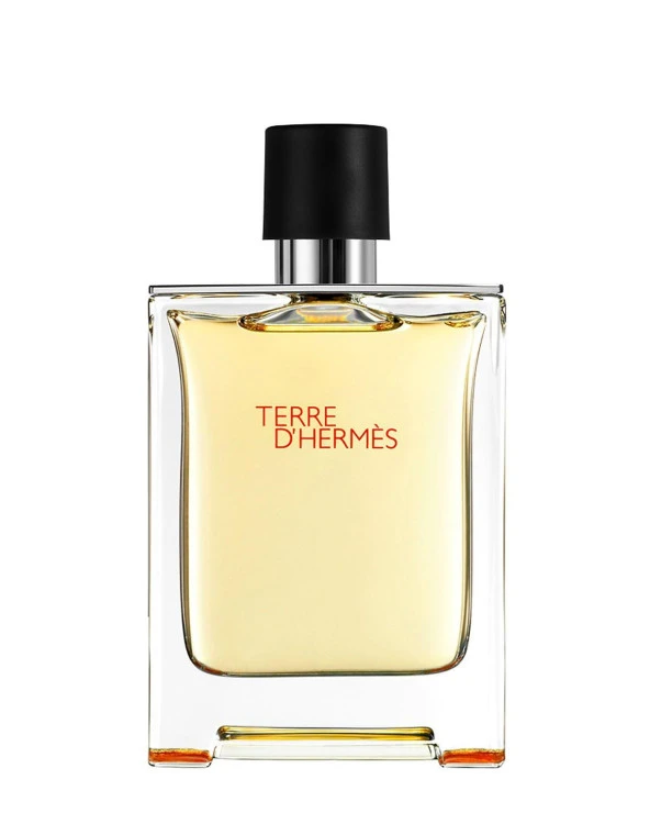 Hermes Terre D'Hermes EDT 100 ml Erkek Parfümü ürün görseli 1