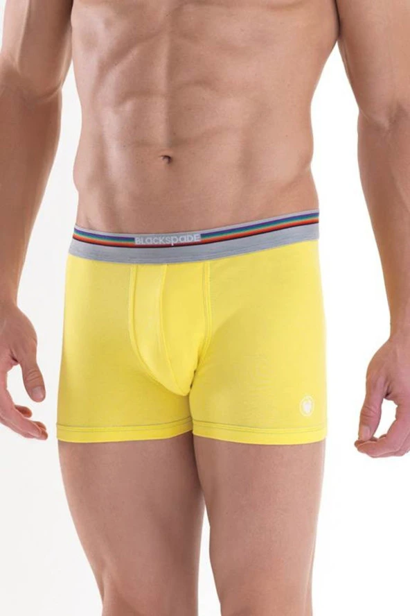 Erkek Renkli Boxer 9550 - Resim 2