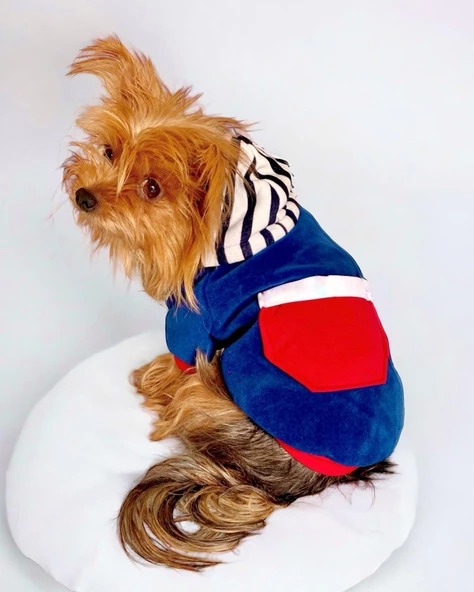 Neo Tommie Kapşonlu Köpek Sweatshirt Köpek Kıyafeti Köpek Elbisesi ürün görseli 1