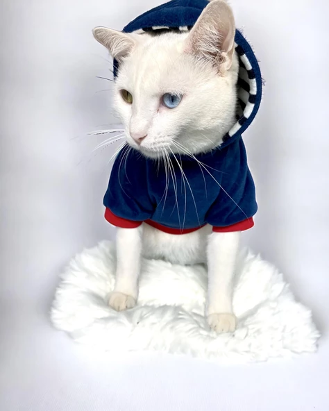 Neo Tommie Kapşonlu Kedi Sweatshirt Kedi Kıyafeti Kedi Elbisesi Kedi Giyim ürün görseli 1