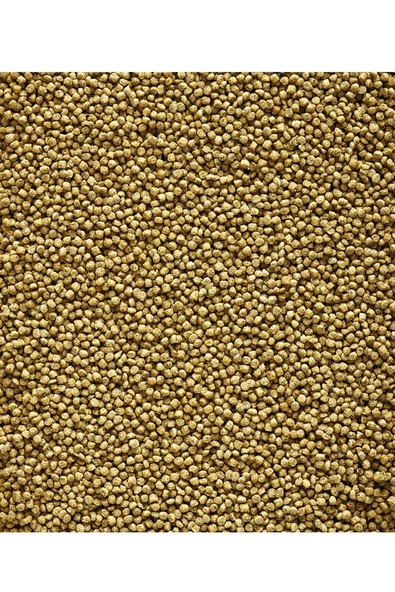 Nutribird c19 orginal Renksiz Pelet Yem 1000gr ürün görseli 1