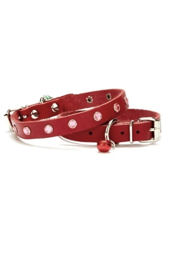 Doggie Kırmızı Taşlı Kedi Ve Yavru Köpek Tasması 1.23 cm Medium ürün görseli 1