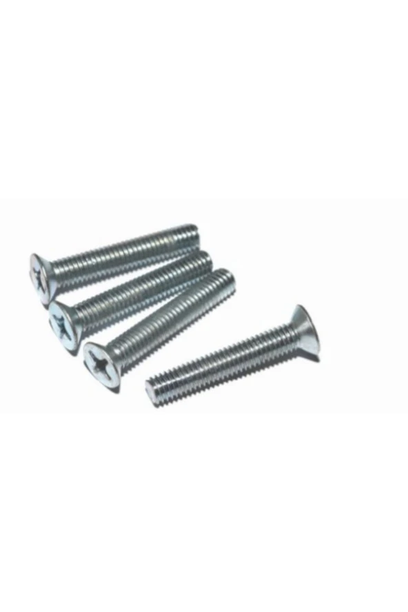 Akdeniz Metrik Yhb Vidası Kutulu 6x10mm 1250 Adet ürün görseli 1