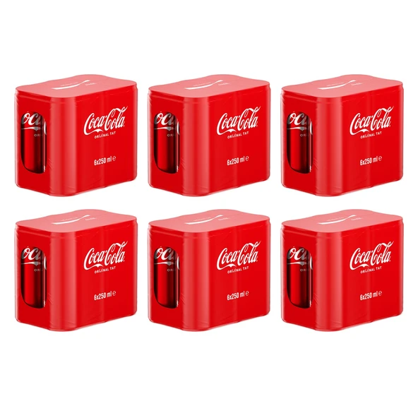 Coca Cola 250 ml 6'lı Kutu x 6 Adet - Resim 2