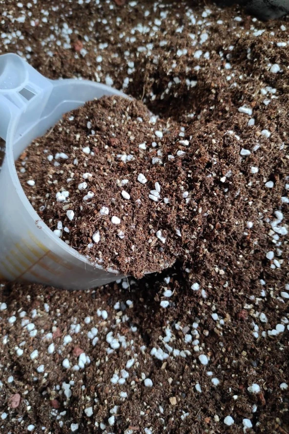 1 Litre Toprak Kaktüs Sukulent Toprağı Kendi Üretimimizde Kullandığımız Toprak ürün görseli 1