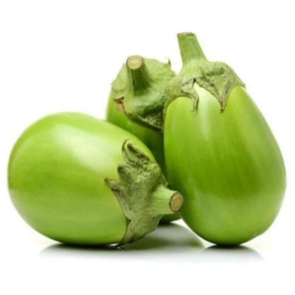 Apple Green Patlıcan Tohumu (15 tohum) ürün görseli 1