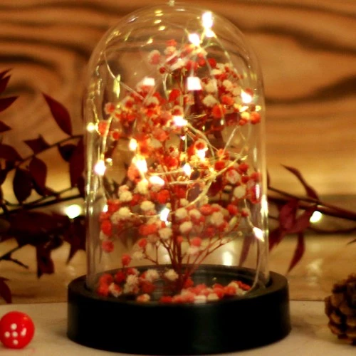 Periboia Led Işıklı Mini Ağaç Fanus Teraryum - Resim 3