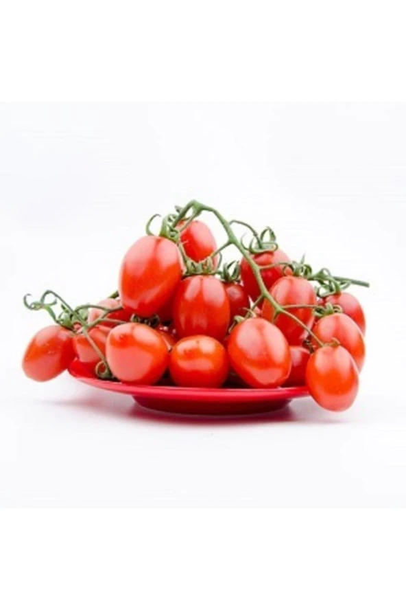 Cherry Domates Tohumu - Resim 2
