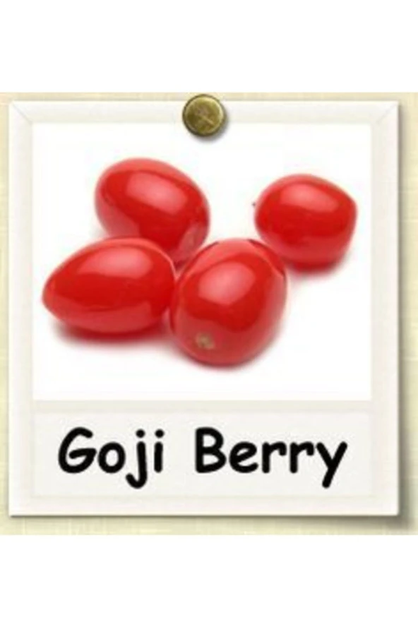 Himalaya Goji Berry Tohumu Kurt Üzümü (5 Adet Tohum) ürün görseli 1