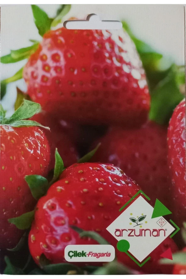 Çilek Tohumu ürün görseli 1