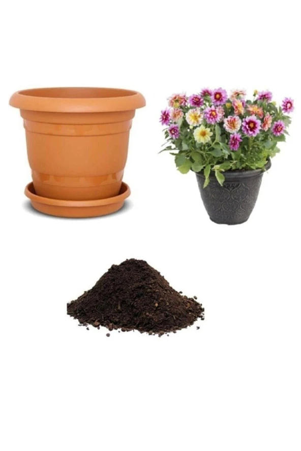 Tohumculuk Karışık Dahlia Çiçeği Tohumu Ekim Seti ürün görseli 1