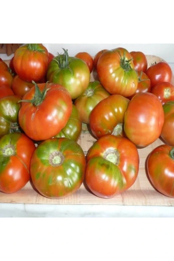 Tohumculuk Mis Kokulu Yayla Domatesi Tohumu ürün görseli 1
