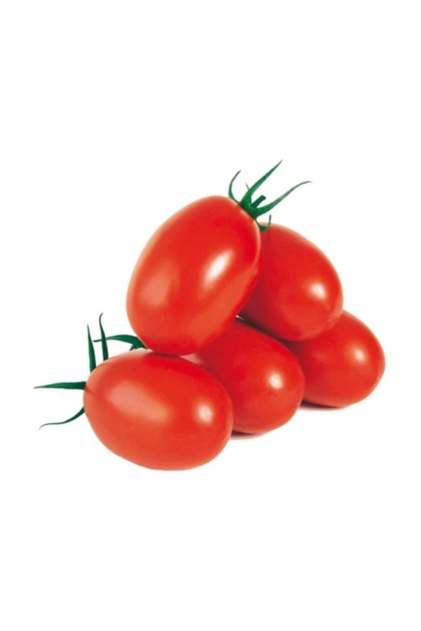 Tohumculuk Saksılık Zeytin Domates Tohumu 10 Adet Tohum Kahvaltılık Domates Tohumu ürün görseli 1