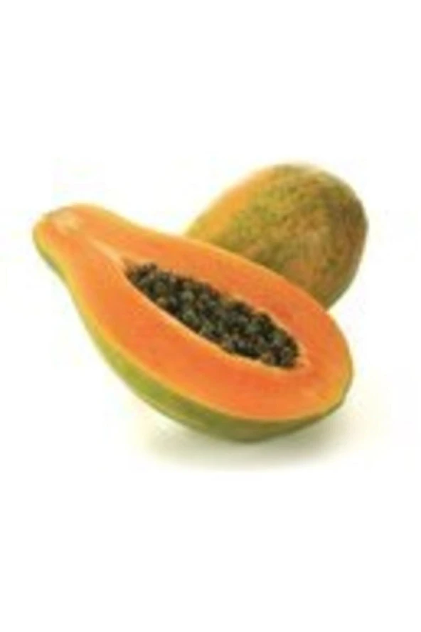 Tohumculuk Tropikal Meyve Papaya Ağacı Tohumu 3 Adet Tohum ürün görseli 1