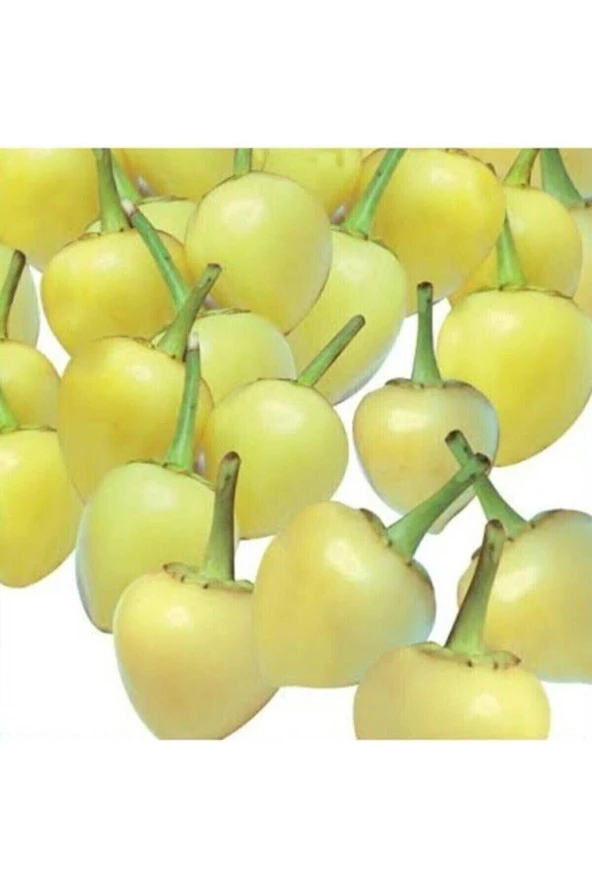 Tohumculuk Sarı Misket Biber Tohumu 50 Tohum ürün görseli 1