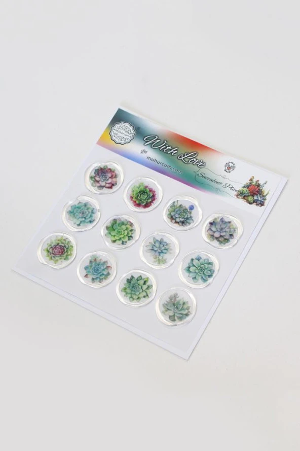 Mühürcüm 12 Adet Hazır Kendinden Yapışkanlı Sukulent Bitki Sticker Mühür KYSM109 ürün görseli 1