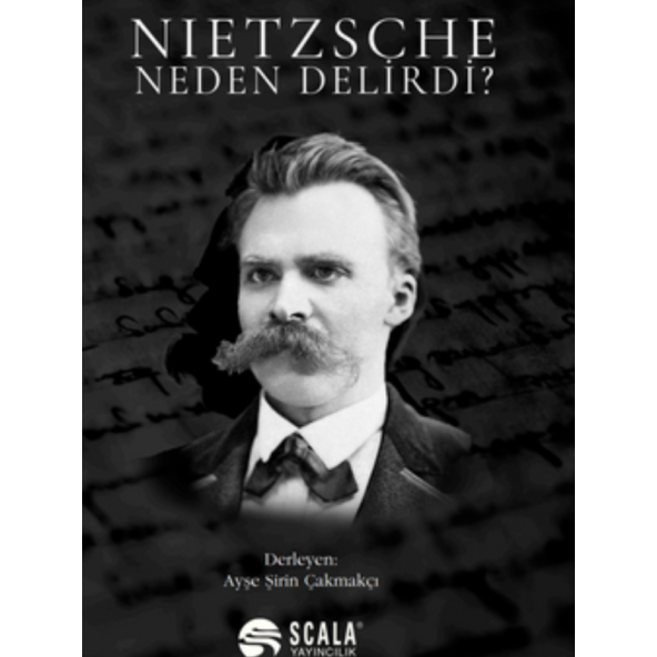 Nietzsche Neden Delirdi? ürün görseli 1