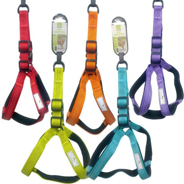 Nunbell Köpek Gögüs Tasması 1.5 cm ürün görseli 1