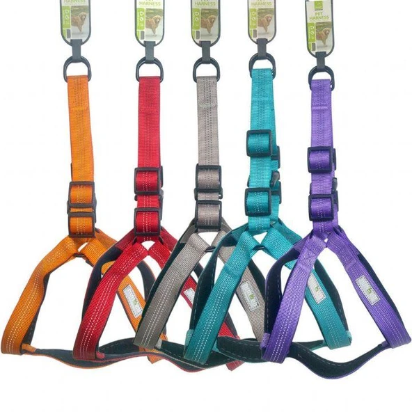 Nunbell Köpek Gögüs Tasması 2.5 cm ürün görseli 1