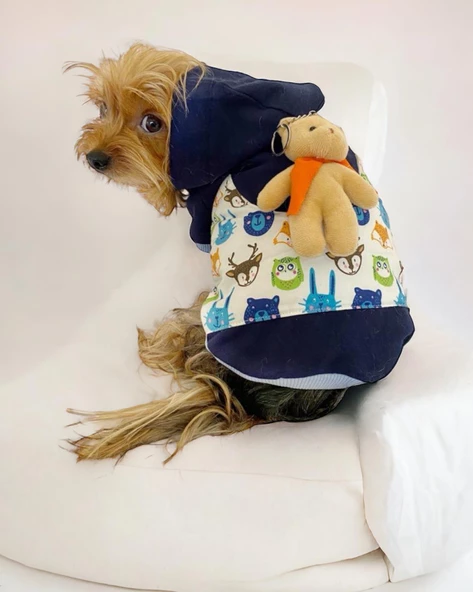 Teddy Roo Kapşonlu Köpek Sweatshirt Köpek Elbisesi Köpek Kıyafeti ürün görseli 1