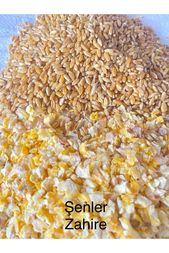 ŞENLER - Kırık Mısır Ve Buğday Karışık Yem 25 Kg ( Tavuk, Güvercin, Kuş, Kaz, Ördek Vs.) ürün görseli 1