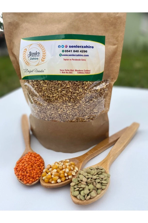 ŞENLER - Hediklik Buğday - Diş Buğdayı- 1 Kg ürün görseli 1
